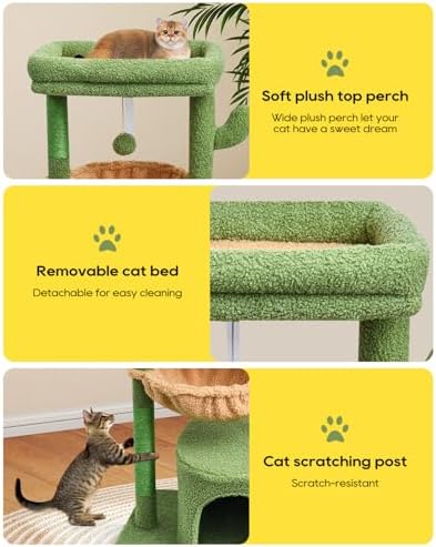 SYANDLVY Cactus Cat Tree for Indoor Cats - Image 5