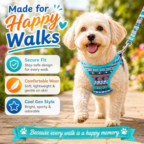 Step in Boy Dog Harness Leash Set- All Weather Reflective No-Pull Padded Mesh - Image 4