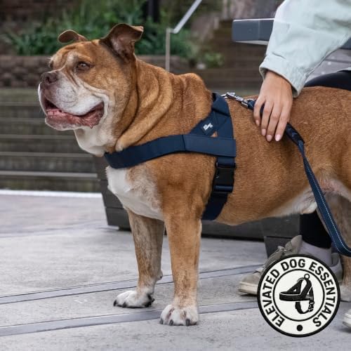 Dog Friendly Co. Dog Harness, No Pull Design - Image 5