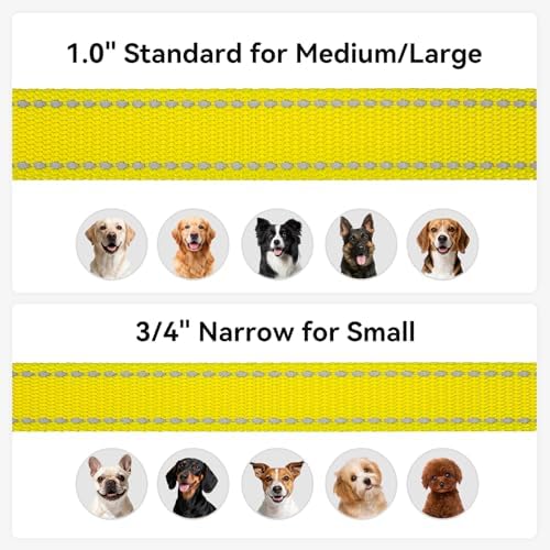 Joytale Reflective Dog Leash for Medium & Large Dogs, 5 FT x 1" - Image 6