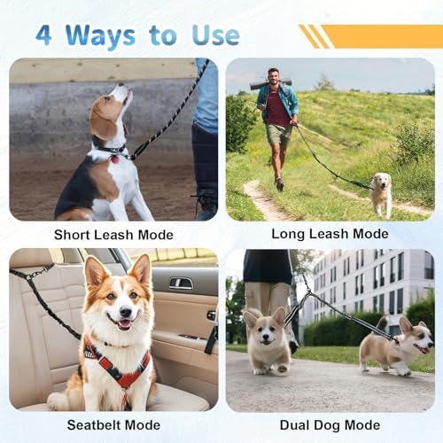 Double Dogs Leash - Image 7