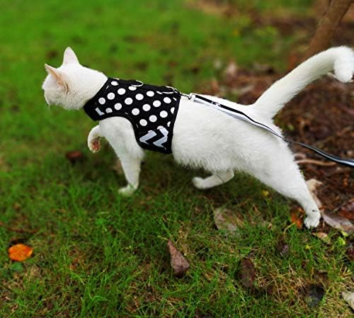 Cat Harness and Leash Set Escape Proof, Polka Dot Black - Image 2