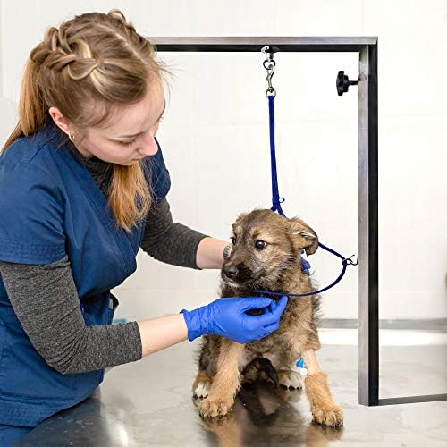 Jelly Pet Grooming Loops 3/8'' x 18'' W/Ring | Made in the USA - Image 2