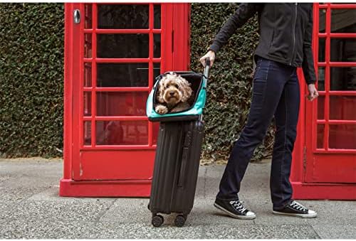 Sleepypod® Air, Airline Approved Cat/Dog Carrier, Crash Tested - Image 6