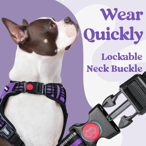 rabbitgoo Dog Harness Medium Sized, Updated Easy On & Off - Image 3