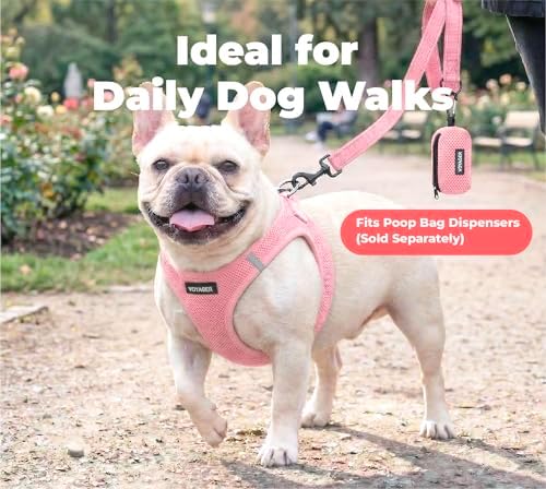 Best Pet Supplies Voyager Nylon Dog Leash - Image 3