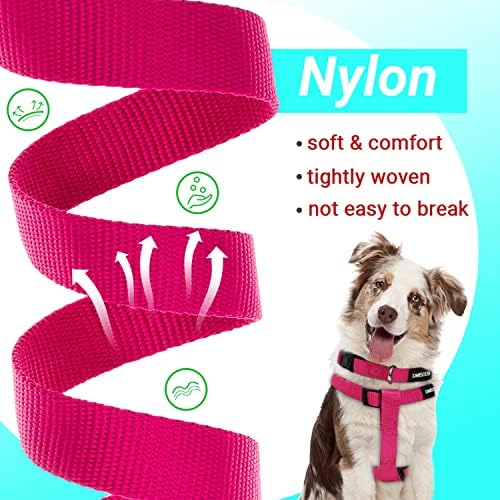 No Pull Dog Harness, Leash & Collar Set, Adjustable Step-in Vest - Image 4