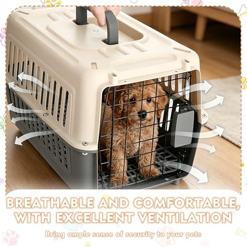 Hard Plastic Pet Carrier 2 Set Small Dogs and Cats Up to 13 lbs Hard-Sided Dog - Image 3