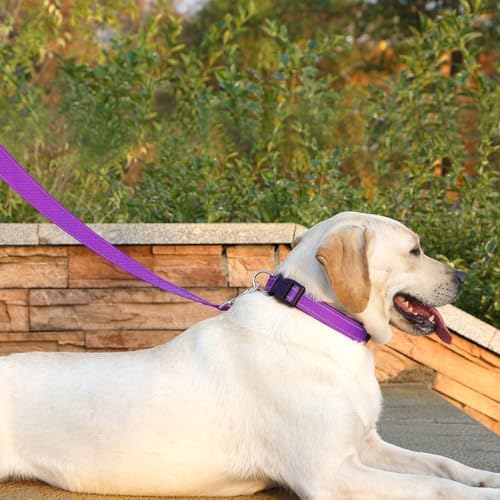 6 FT Basic Dog Leash for Small Dogs, Padded Handle - Image 2