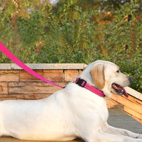 6 FT Basic Dog Leash for Small Dogs, Hot Pink - Image 3