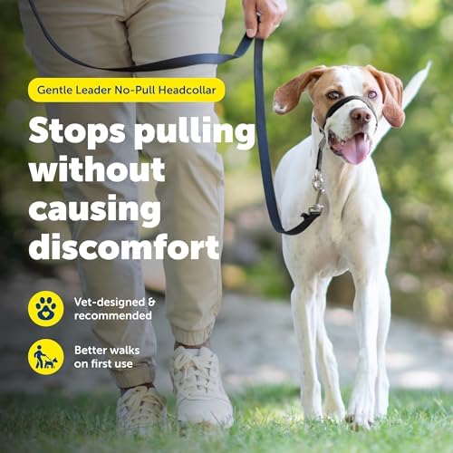 PetSafe Gentle Leader No Pull Dog Headcollar, Deep Purple - Image 2