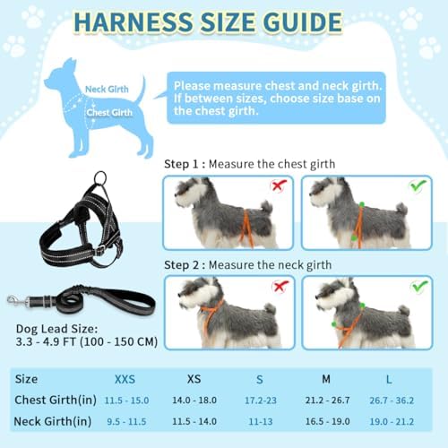 SlowTon No Pull Small Dog Harness and Leash Set - Image 5