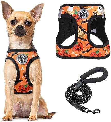 BEAUTYZOO Halloween Dog Harness Medium Sized and Leash Set, No Pull Pet Vest by BEAUTYZOO