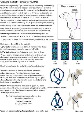 Lupine Small Dog Adjustable Step in Harness 3/4" Wide Aqua - Image 3