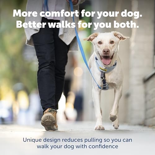 PetSafe Easy Walk Comfort No Pull Dog Harness, Extra Small - Image 2