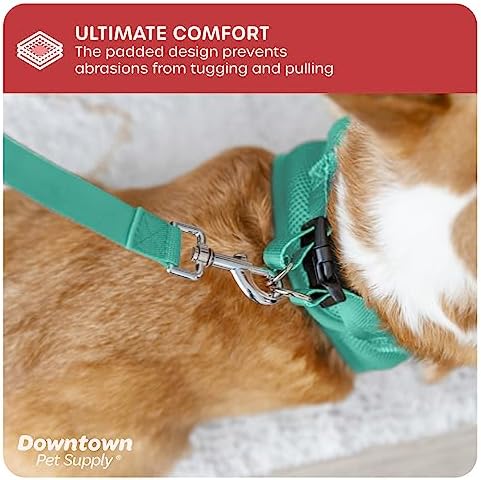 Downtown Pet Supply Step in Dog Harness No Pull, Bermuda Blue - Image 6