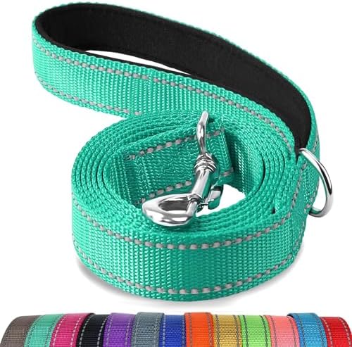Joytale Reflective Dog Leash for Small Dogs, 6 FT x 3/4" by Joytale