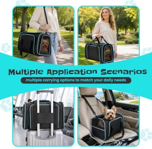 Soft-Sided Expandable Small Dog Carrier, Airline Approved - Image 4