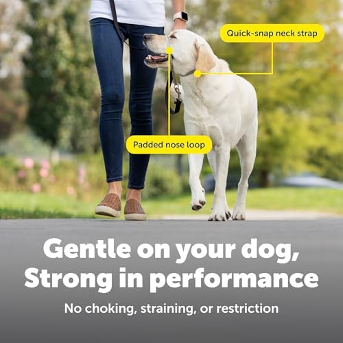 PetSafe Gentle Leader No Pull Dog Headcollar, Extra Large - Image 4