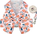 BAEJMJK Dog Harness and Leash Set by BAEJMJK