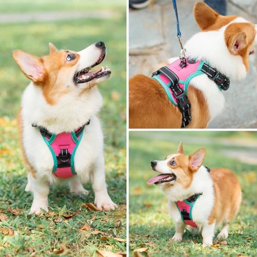 PHOEPET Upgraded No Pull Dog Harness, Reflective Adjustable Vest - Image 6