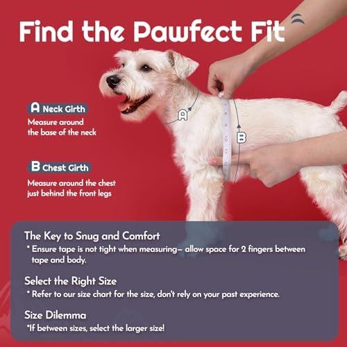Eagloo Small Dog Harness and Leash Set, Step in Extra Small Puppy Pet Vest - Image 2