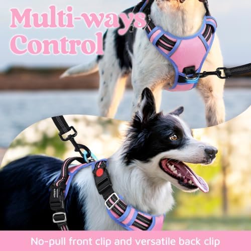rabbitgoo Dog Harness Small Sized, No Pull 3 Buckles Easy On & Off - Image 3