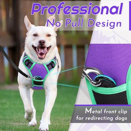 Eagloo Dog Harness for Large Dogs, No Pull Pet Vest - Image 2