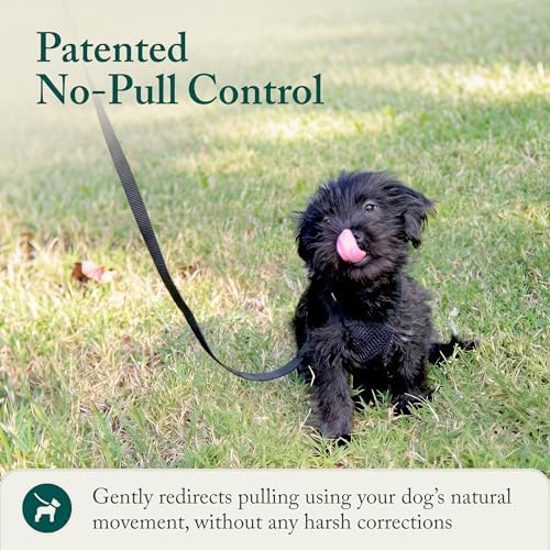 Sporn No Pull Dog Harness, Durable Nylon Mesh Harness - Image 6