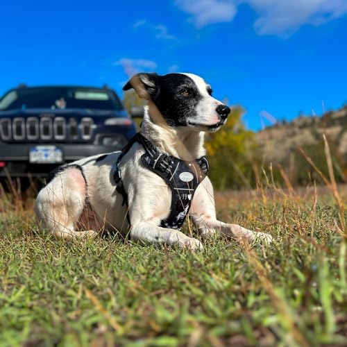 AUROTH Tactical Dog Harness Medium Sized Dog No Pull Adjustable Dog Vest - Image 6