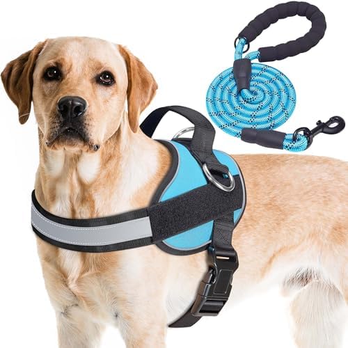 Haapaw Essential Dog Harness, No Pull Pet Vest by haapaw