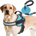 Haapaw Essential Dog Harness, No Pull Pet Vest by haapaw