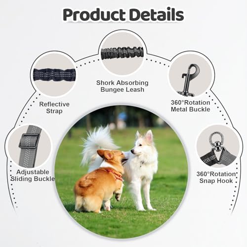 Double Dog Leash - Image 3