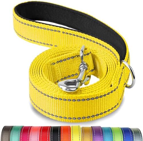 Joytale Reflective Dog Leash for Small Dogs, 5 FT x 3/4" by Joytale