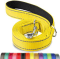 Joytale Reflective Dog Leash for Small Dogs, 5 FT x 3/4" by Joytale