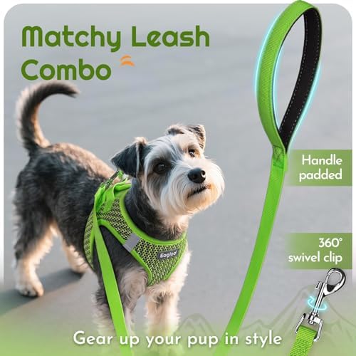 Eagloo Small Dog Harness and Leash Set, Step in Small Sized Puppy Pet Vest - Image 6