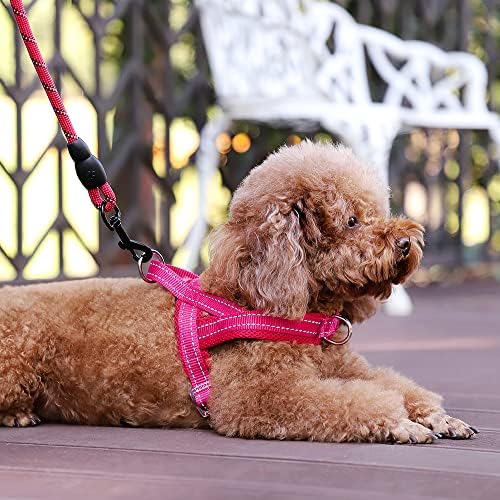Plutus Pet No Pull Dog Harness for Puppy Small Dogs, Breathable Mesh Padded - Image 5