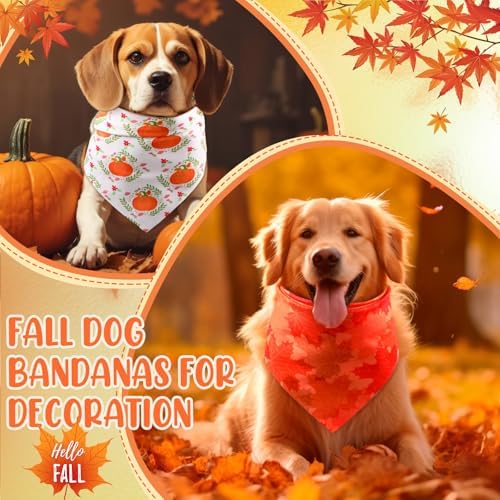Preboun 50 Pcs Fall Thanksgiving Dog Bandanas Bulk, Pumpkin & Maple Leaves - Image 4