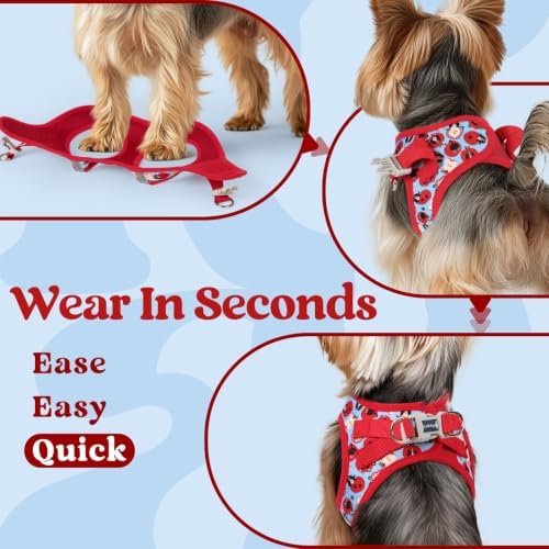 rabbitgoo Step-in Small Dog Harness, Puppy Vest - Image 5