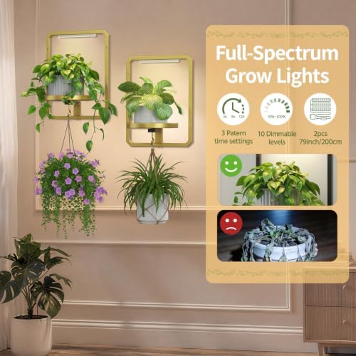 LASZOLA Plant Picture Frame Holder Shelf Wall - Image 3