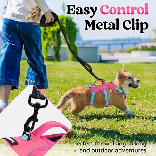 rabbitgoo Escape Proof Dog Harness - Image 5