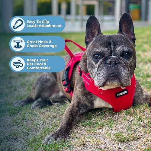 Best Pet Supplies Voyager Adjustable Step-in Flex Breathable Mesh Dog Harness - Image 5
