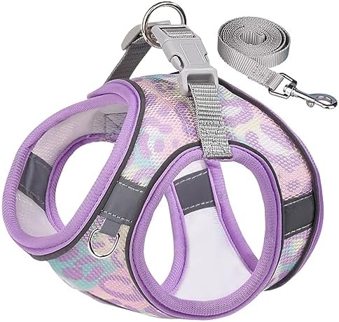 Step in Mesh Dog Harness and Leash Set - Image 2