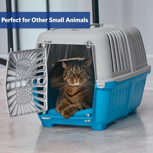 Spree by MidWest 22-Inch Travel Carrier, Fits Pets up to 12 lbs - Image 6