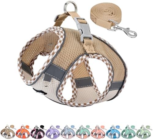 AIITLE Breathable Dog Harness Small Sized and Leash Set by AIITLE-FORPETSBETTERLIFE