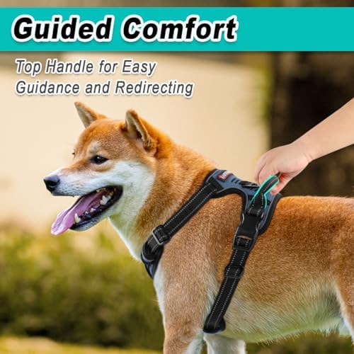 BARKBAY Dog Harness for Medium Sized Dog No Pull 2 Leash Clips Dog Vest - Image 4