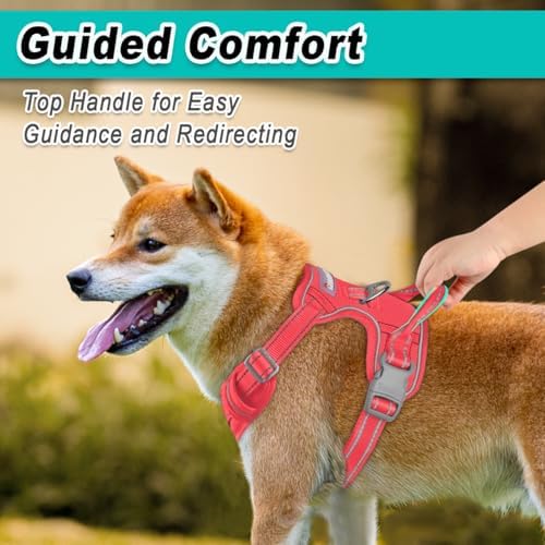 BARKBAY Dog Harness for Medium Sized Dog No Pull Mesh 2 Clips Dog Vest - Image 4