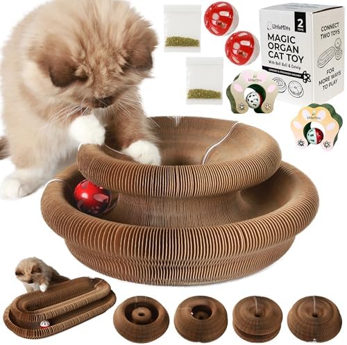 2-Pack Accordion Cat Toy Scratchers - Image 6