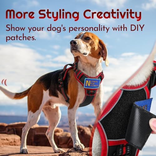 Eagloo Dog Harness No Pull for Large Dogs, Easy On & Off - Image 3