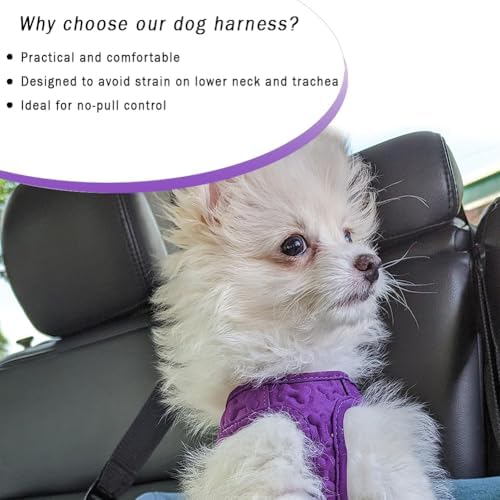 Comfort Fit No Pull Dog Harness – Adjustable Step-in Vest - Image 2